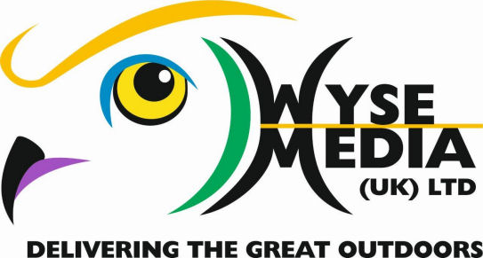 Wyse Media Logo